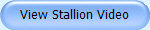 Stallion Video